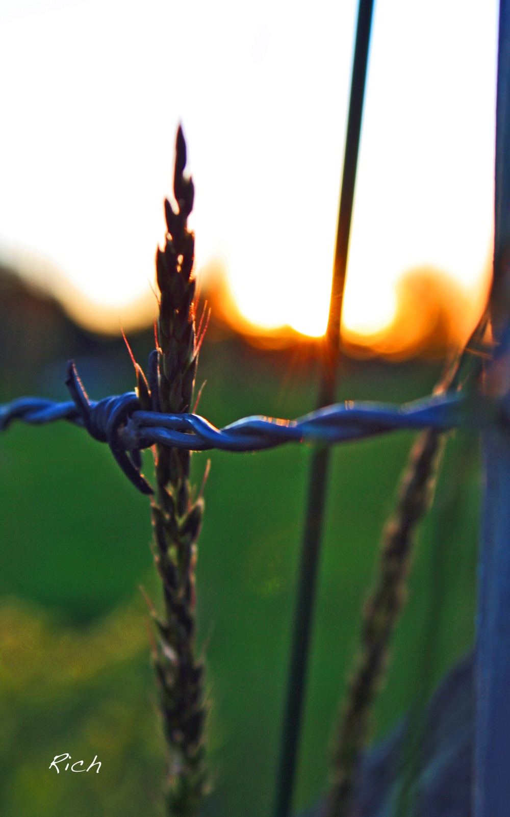 Sunset Beyond the Barbed Wire